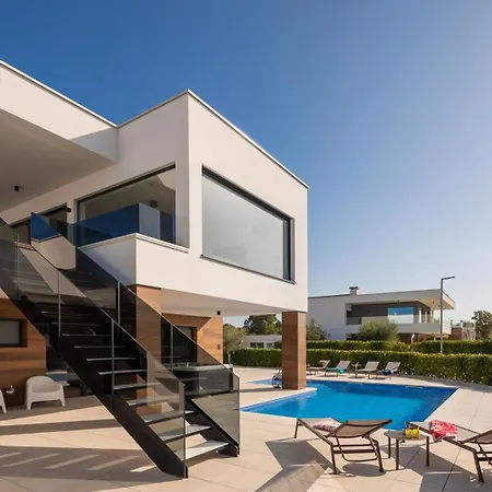 Old Olive Iv * 보드냔