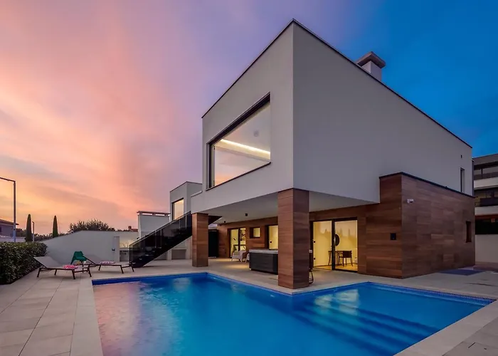 Old Olive Iv 보드냔