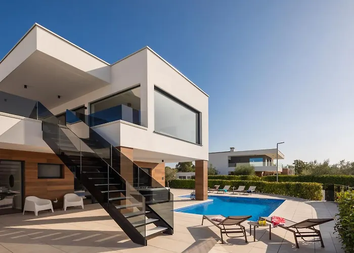 Old Olive Iv * 보드냔