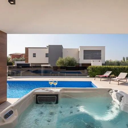 Villa Old Olive Iv Vodnjan