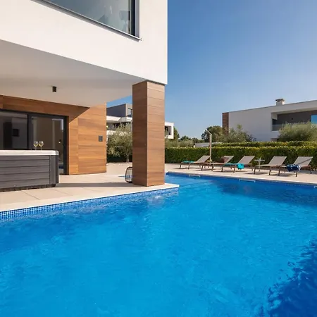 Old Olive Iv * Vodnjan