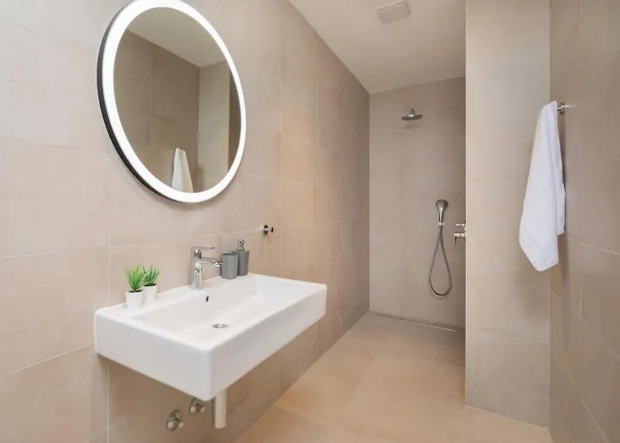 Old Olive Iv Vodnjan